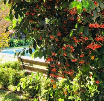 Coronel Suarez House | Posada Los Horneros