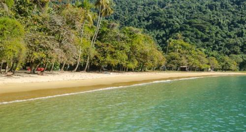 Ilha Grande House | Pousada carrossel