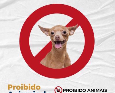 Barra do Garcas Hotel | Pousada Dois Rios