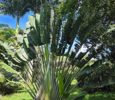 Escada House | Pousada Sítio do Engenho