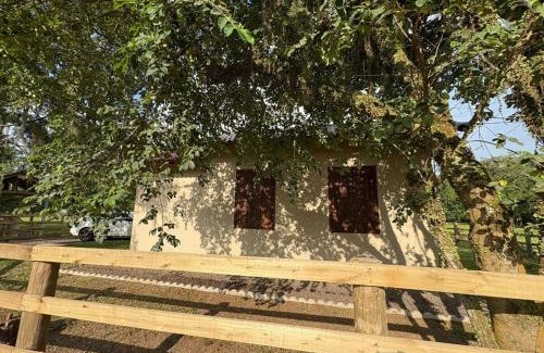 Torres Ski Chalet | Pousada Sítio do Nono