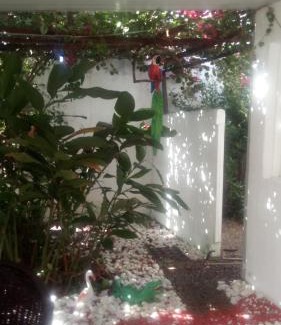 Ponta Negra Hotel | Pousada Terra de Minas