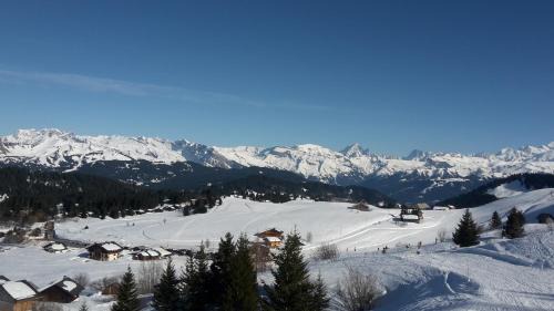Le Praz de Lys Apartment | Prazdelys