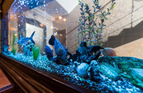 Chernovtsy Hotel | Premium Hotel