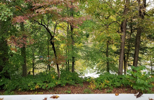 Kingsmill Condo | Premium Lakeview 1 BR in Kingsmill Resort-Clean- Shuttle to Grand Illumination