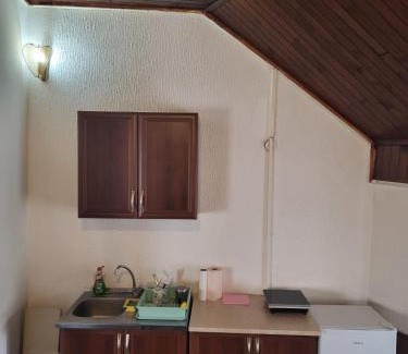 Pirot Apartment | Prenoćiste Živković
