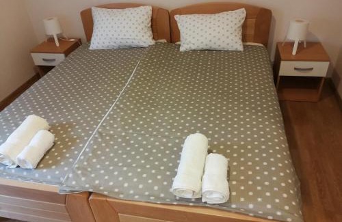 Arandelovac Apartment | President 034
