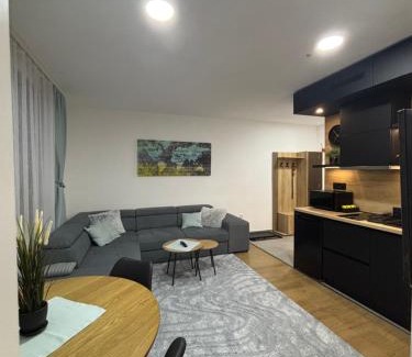Kopaonik Apartment | President kop APP Katarina II free wellnes&spa