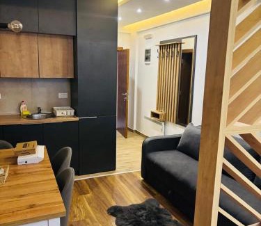Kopaonik Apartment | President kop s11