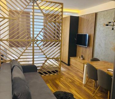 Kopaonik Apartment | President kop s11