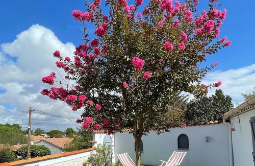 Les Conches Villa | Pretty villa with pool by the ocean