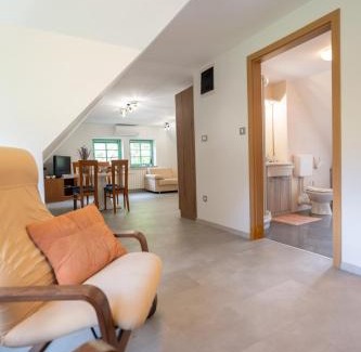 Log pod Mangartom Apartment | Pri Dopivcu