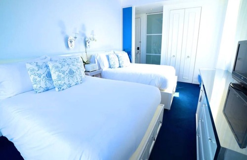 SoHo House | Prime Location! 4 Spacious Units, Pets Allowed, Close to Elizabeth Street Garden