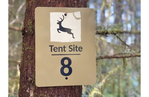 Forks RV Rental | Primitive Tent Site #8- Beautiful Forested Property