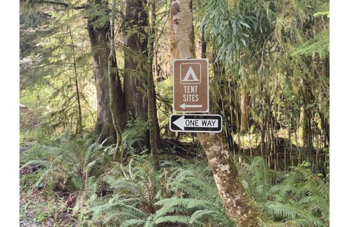 Forks RV Rental | Primitive Tent Site in Enchanted Rain Forest - Site #2