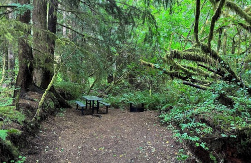 Forks RV Rental | Primitive Tent Site in Enchanted Rain Forest - Site #4