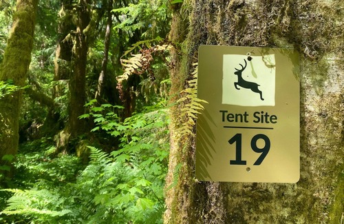 Forks RV Rental | Primitive Tent Site in Enchanted Rain Forest - Site #19