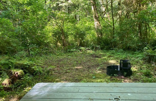 Forks RV Rental | Primitive Tent Site in Enchanted Rain Forest - Site #19