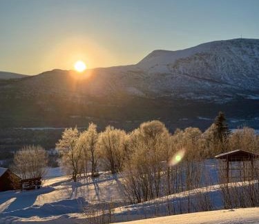 Oppdal Apartment | Private apartments!Oppdal Alpintun, Skisenter-Stølen