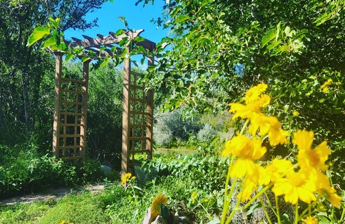 Embudo House | Private Beach on Rio Grande Adobe Historical Artist Family Home near Ski Valley