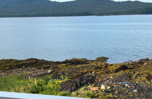 Ketchikan House | Private Beachfront 3 bedroom + loft, 5 bed, huge deck. 2 bath, WiFi, barbecue.