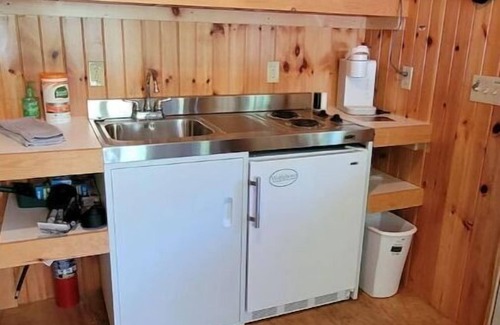 Wolfeboro Cabin | Private Cabin with access to Rust Pond Ferris