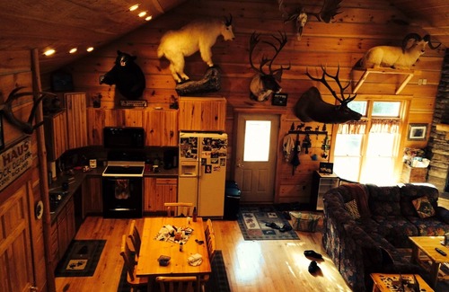 Chief Lake Cabin | Private Cabin with Sand Beach on the Chippewa Flowage - Great Fishing!