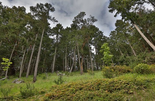 Vesuvius Apartment | Private condo, Saltspring Island BC, Hiking, beach access