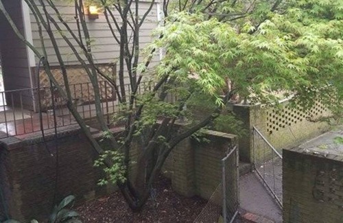 Martinez Apartment | Private, cozy nook: Country Feel, City Access
