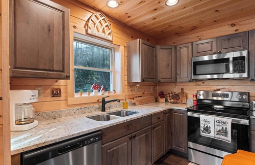 Elk Park Cabin | Private lakefront cabin with mountain views/hot tub/firepit/game room/hiking/etc