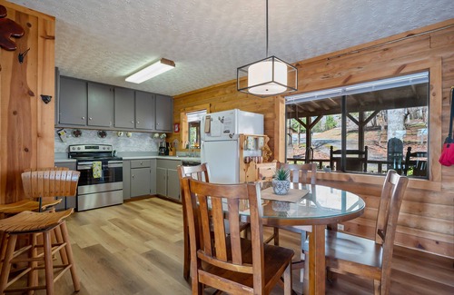 Lake Lure Cabin | Private log cabin on the lake! Beach/waterfall/dogs.