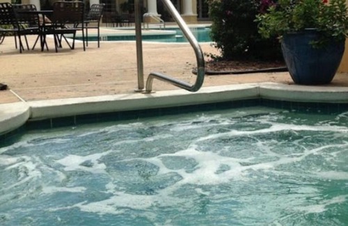 Metro West Condo | Private Penthouse near Universal Disney with Pool, Jacuzzi, Gym