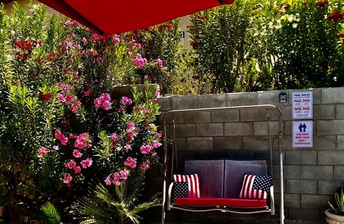 Desert Hot Springs House | Private Spa Oasis w/Views/Mineral Saltwater Pool & Spa / Koi pond / Fire pit/BBQ