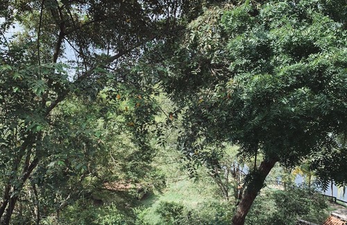 Puerto Salgar Villa | PRIVATE VILLA WITH PRIVATE LAKE AND RIVER VIEW