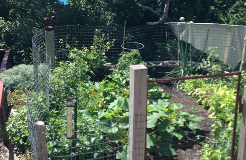 Falmouth House | Private White Sand beach - warm water awaits!