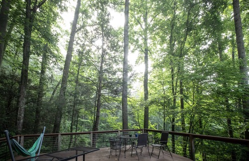 Skyland House | Private, Wooded Paradise - Year-round hot tub, Summer pool