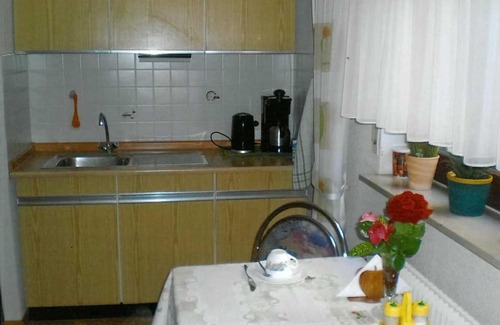 Haslach-Haid Apartment | Privatzimmer Lichter