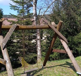 Zdobnice Ski Chalet | Pronájem chalup - Orlické hory - Zdobnice - Horská chata Děvín