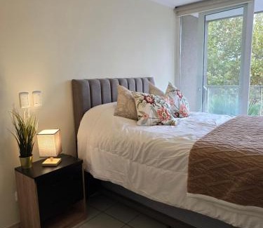 Bellavista Apartment | Providencia Premium Departamento 2 camas matrimonial 2 baños parckin y wifi