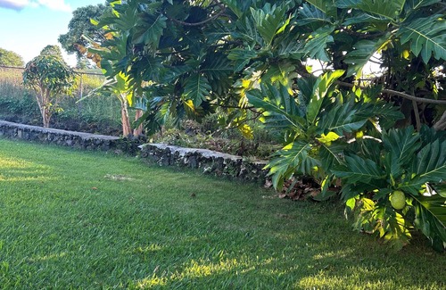 Hilo Apartment | Puakenikeni Hilo Hale