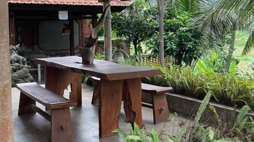 Mas House | Pupel House