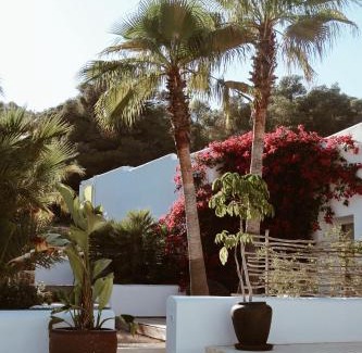 Ibiza Island Hotel | Pure House Ibiza