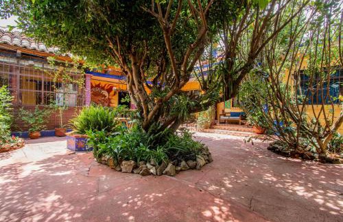 Del Cerrillo House | Qhia Work & Stay