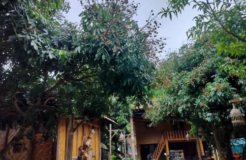 Mang Yang Apartment | Quốc Cảnh Homestay