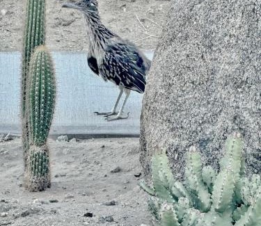 Twentynine Palms House | Quail Wash Retreat