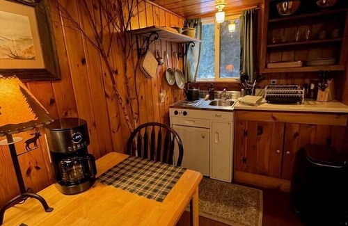 Lake Placid House | Quaint Marcy Adironack Cabin