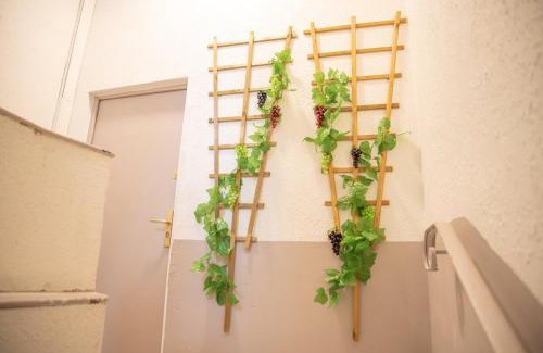 Carcassonne Apartment | Qualys Vignoble parking, square view, close to city