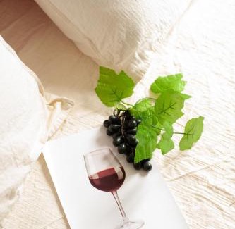 Carcassonne Apartment | Qualys Vignoble parking, square view, close to city