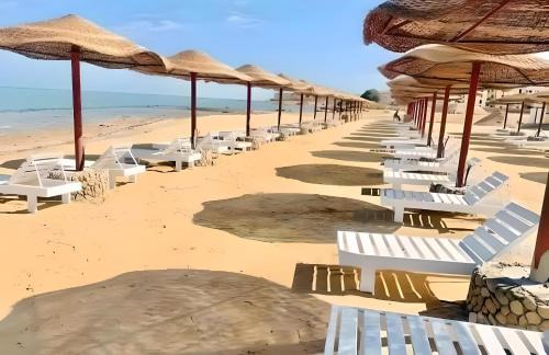 Al Ahyaa Resort | Queen T Suites All Inclusive Resort