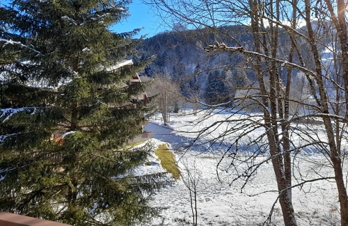 Abondance Apartment | Quiet 2-room apartment with parking, near Portes du Soleil